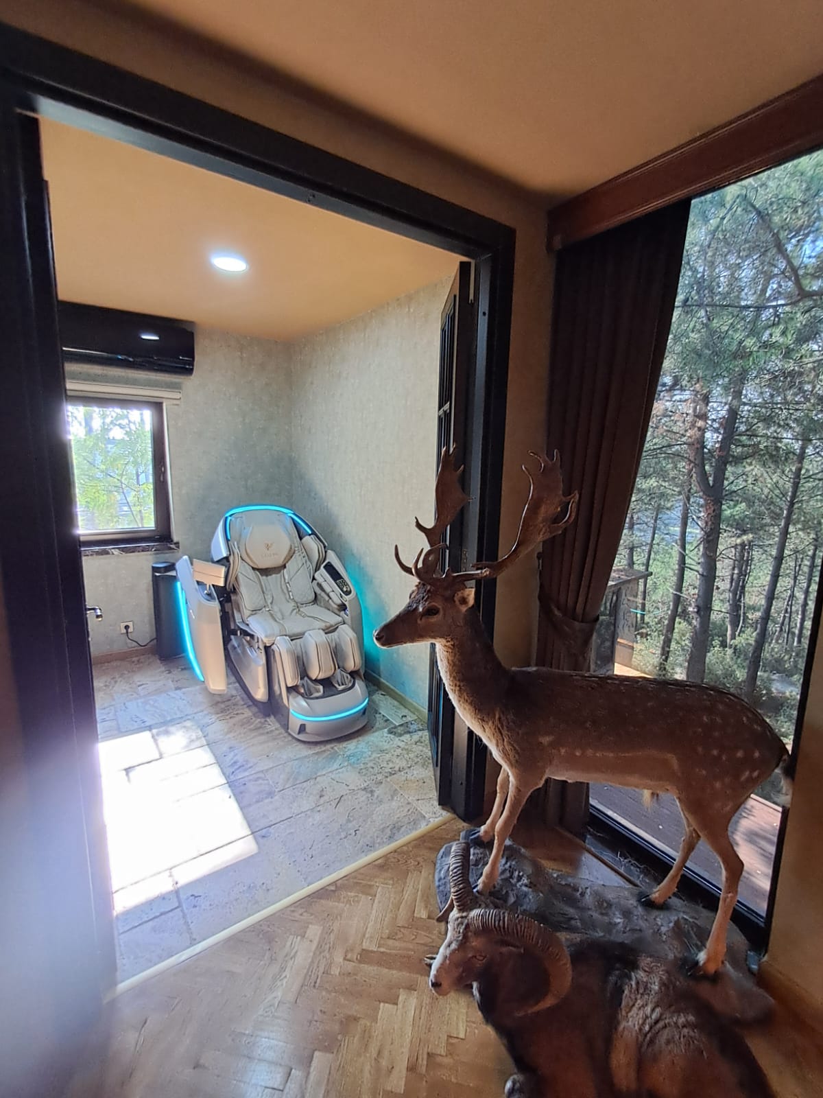 vitaly bej_gerçek hali2